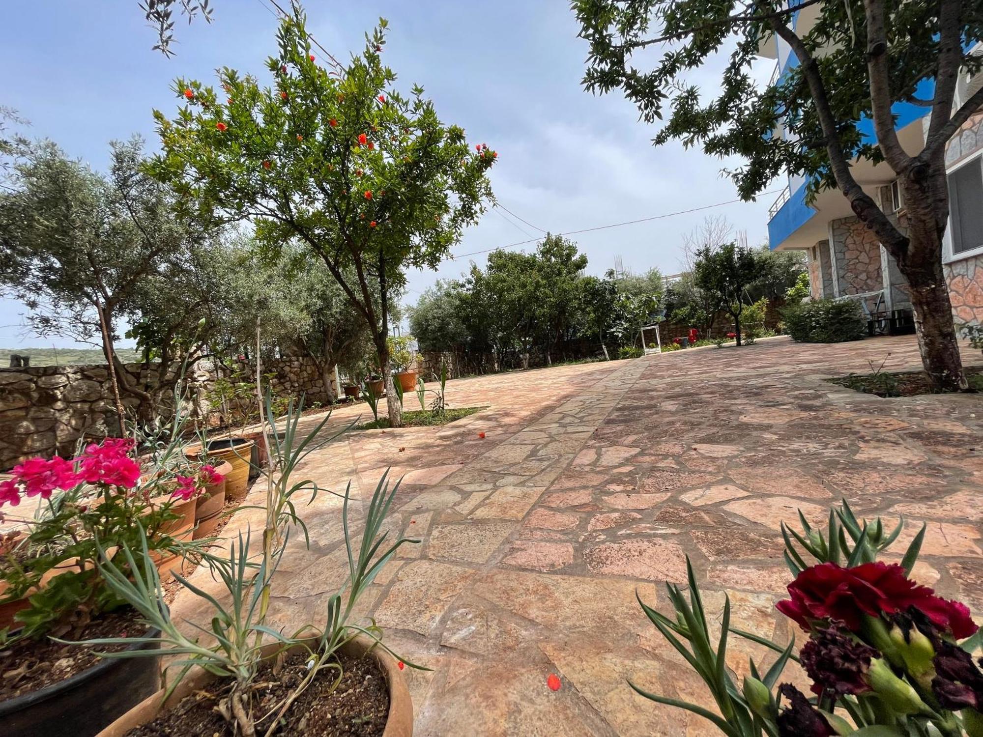 קסאמיל Vila Albi מראה חיצוני תמונה