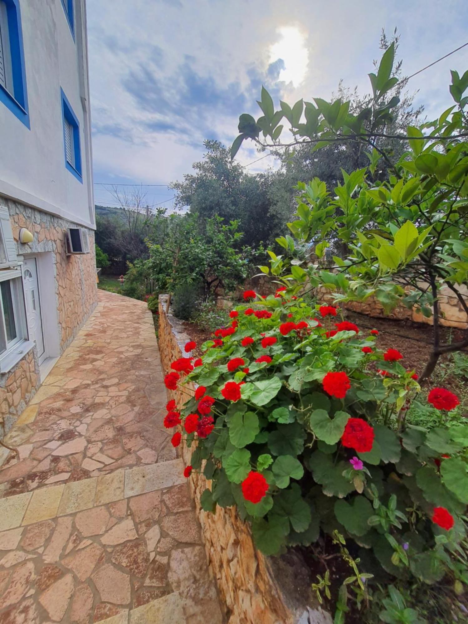 קסאמיל Vila Albi מראה חיצוני תמונה